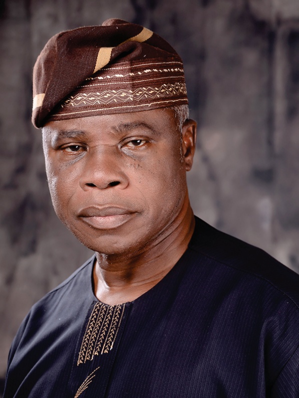 Dr. Akin Fapohunda, Executive Director